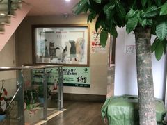 -爱侣·安琦尔宠物医院·中兽医针灸·心内科·狂犬免疫点(宝山区院)