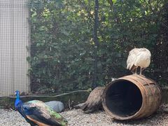 -维乐口腔医院(福清院)