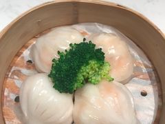 -南枝记