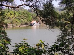 -深圳仙湖植物园