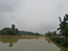-白鹭湾湿地公园