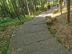 -杭州黄龙洞