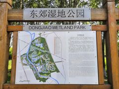 -东郊湿地公园