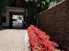 -老洋房花园饭店(绍兴路店)