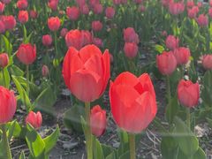 -长春公园(普阳街道)