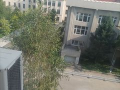 -沈阳市外国语学校
