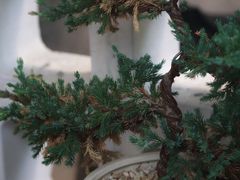 -山城巷传统风貌区
