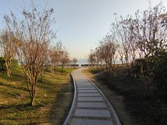 -深圳湾公园(南山区)