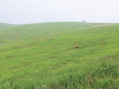 -恋山坝上草原