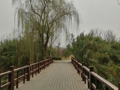 -白鹭湾湿地公园