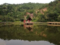 -神光山国家森林公园