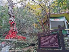 -燕子河大峡谷天坑仙境