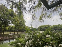 -蠡湖大桥公园