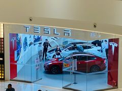 -TESLA 特斯拉(郑州正弘城体验店)