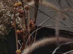 -汉艺唐风茶艺培训(联发华美空间店)