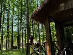 -黄海国家森林公园