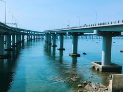 -星海湾跨海大桥
