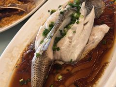 -红果树(江光店)