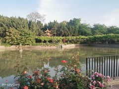 -嘉定紫藤园