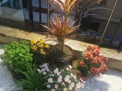 -冰冰龙虾·江湖菜·花园江景餐厅