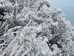 -金子山原生态旅游风景区
