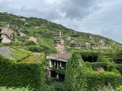 -枸杞岛