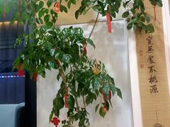 -麦悠悠·SPA·推拿(沈杜公路地铁站店)