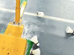 -南山科技园文体中心羽毛球馆