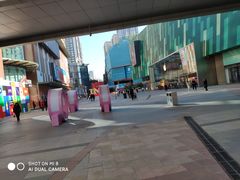 -大悦城(沈阳中街店)