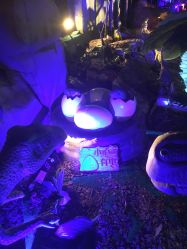 -恐龙探索乐园(磁器口店)