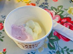 -巴伐利亚啤酒坊(意式风情街店)