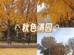 -玲珑塔公园