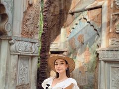 -奥兰多迪士尼动物王国乐园