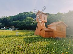 -苏州上方山国家森林公园