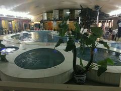 -赛纳河休闲商务会馆(天宁寺店)