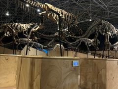 -世界恐龙谷景区