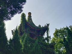 -华清宫景区
