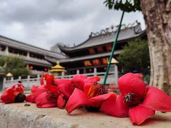 -华林禅寺