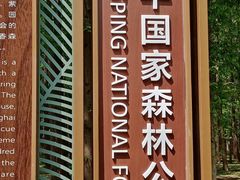 -东平国家森林公园