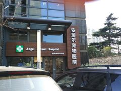 -爱侣·安琦尔宠物医院·中兽医针灸·心内科·狂犬免疫点(宝山区院)