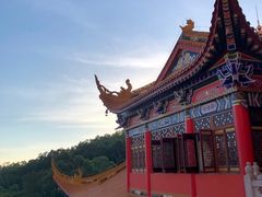 -东莞市大岭山森林公园