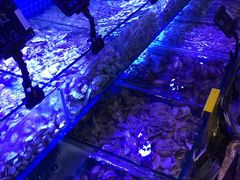 -渔民船说·北塘海鲜·天津菜·海肠捞饭(北塘古镇店)