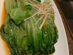 -老阿妈蒙古村·蒙古包·草原文化·歌舞表演(老君堂店)