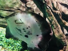 -苏州海洋馆