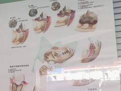 -瑞派福兴宠物医院犬猫全科·骨科·中西医结合(河东店)