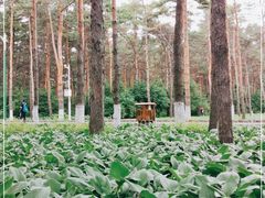-黑龙江省森林植物园
