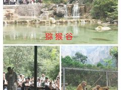 -云台山风景名胜区