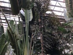 -龙达温泉生态城