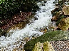 -本溪汤沟绿石谷森林公园