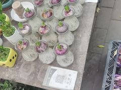 -宝鸡东道花鸟鱼虫市场(吉利花园商场店)